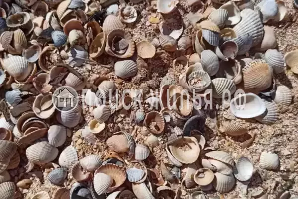 Дом под ключ «Фаворит» Дом под ключ «Фаворит»