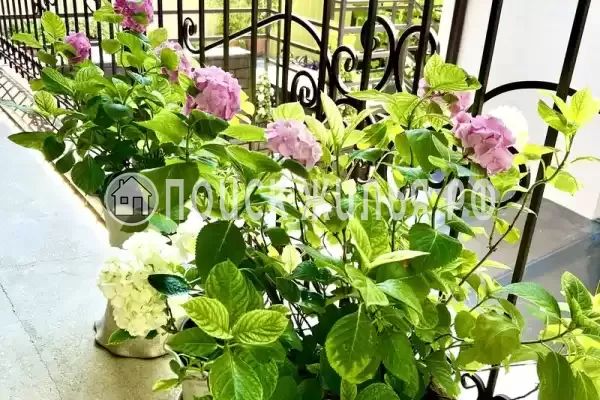 Частный сектор «Южный» Частный сектор «Южный»