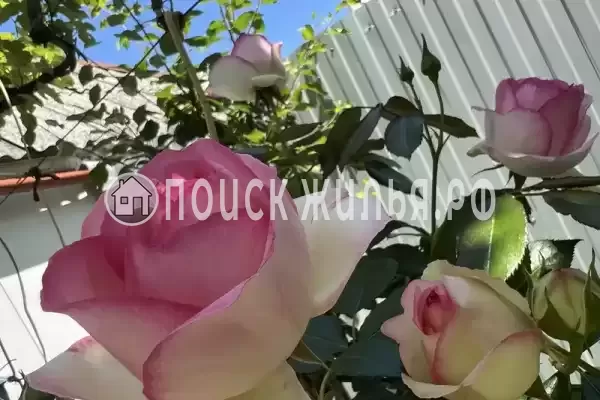 Частный сектор «Уютный домик у моря»