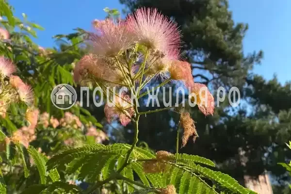 Частный сектор «Уютный домик у моря»