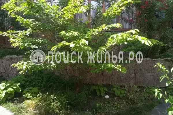 Апартаменты «На Красной»