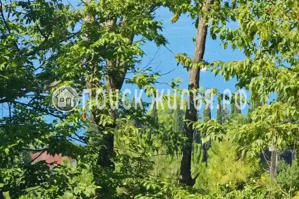 Частный сектор «Дом на Сочинском шоссе» Частный сектор «Дом на Сочинском шоссе»