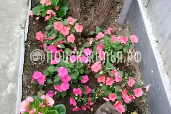 Дом под ключ «Уютный»