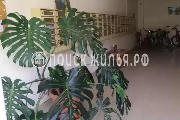 Квартира «Чистая уютная квартира»