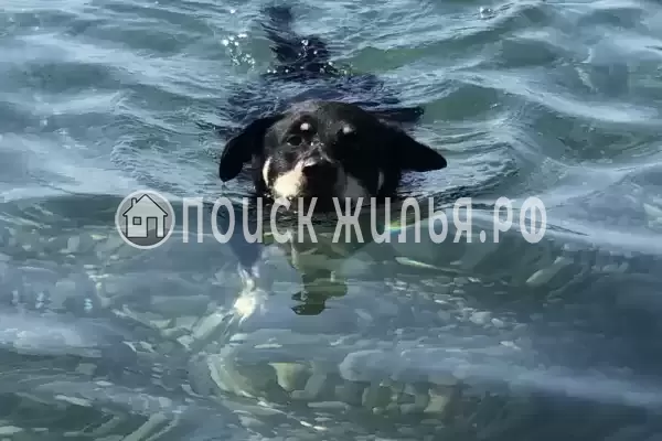 Квартира «Сан Марино»