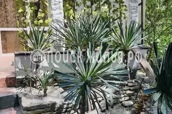 Квартира «Трехкомнатная квартира»