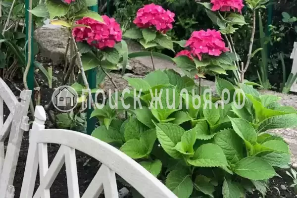 Дом под ключ «Сосновый бор»