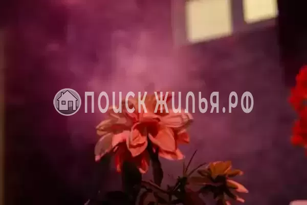 Дом под ключ «Регина»