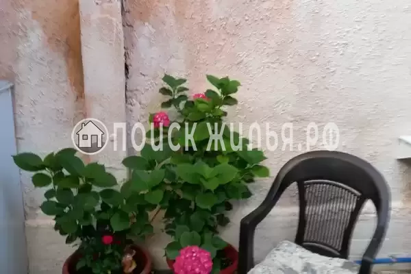 Квартира «Студия со своим двориком»