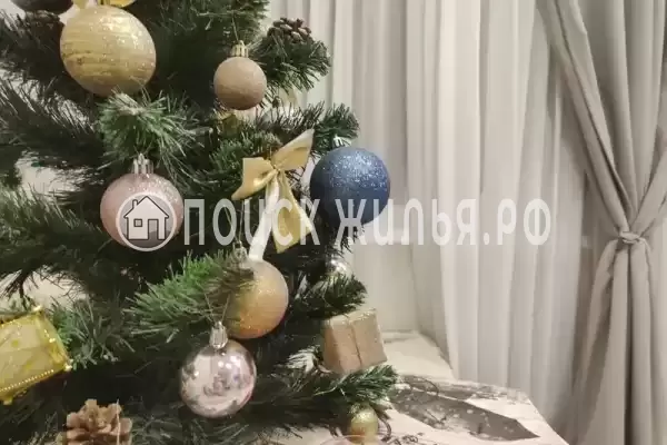 Апартаменты «Венеция» Апартаменты «Венеция»