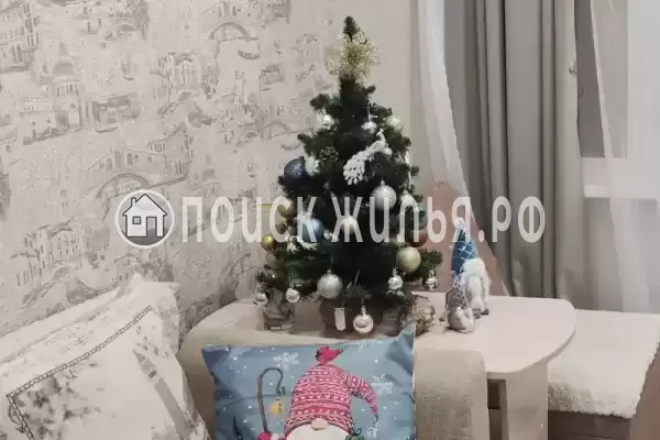 Апартаменты «Венеция» Апартаменты «Венеция»