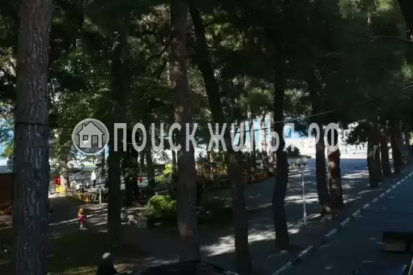 Частный сектор «Номер у самого моря, в зеленом парке. Парковка»