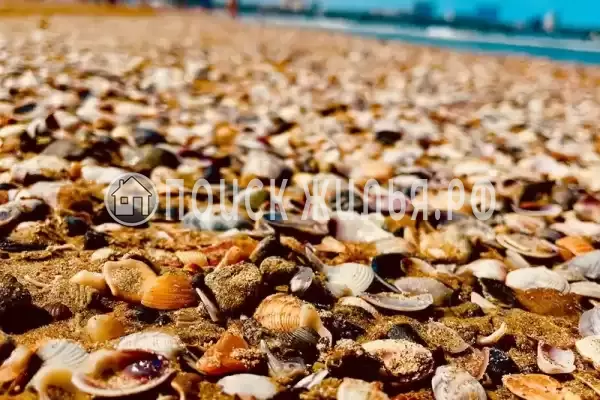 Апартаменты «На берегу»