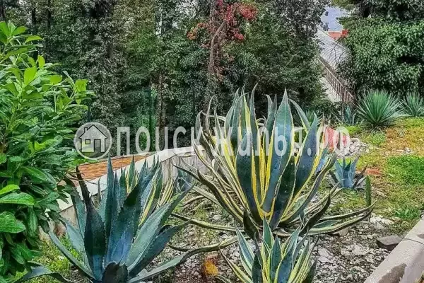 Апартаменты «Сосновый берег» Апартаменты «Сосновый берег»