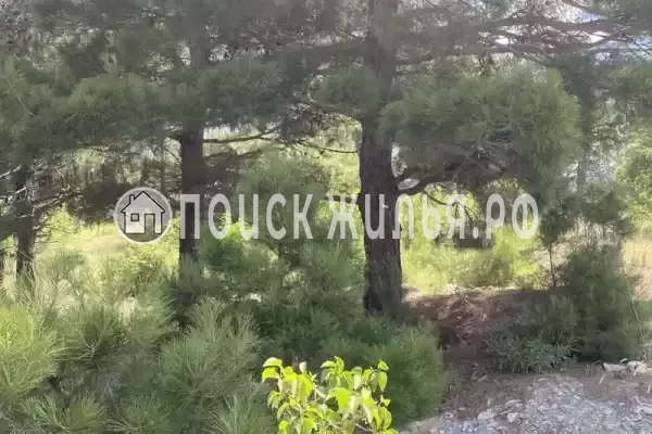 Квартира «Прованс»