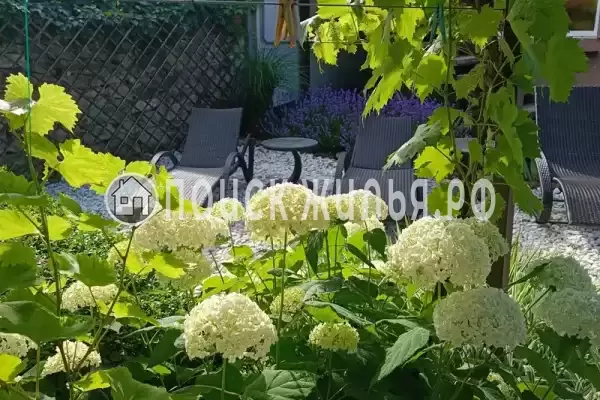 Частный сектор «Платинум»