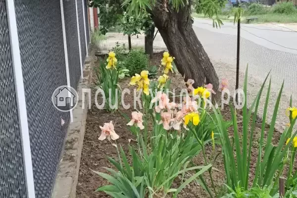 Частный сектор «Домик на Суворовском» Частный сектор «Домик на Суворовском»