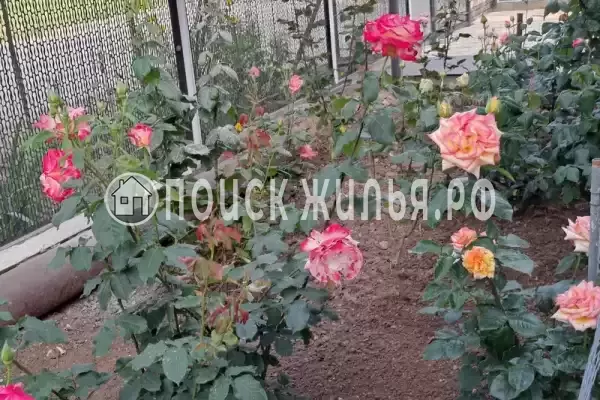 Частный сектор «Домик на Суворовском» Частный сектор «Домик на Суворовском»