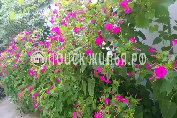 Квартира «Анахата»