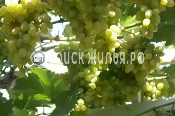 Частный сектор «Дом для семейного отдыха»