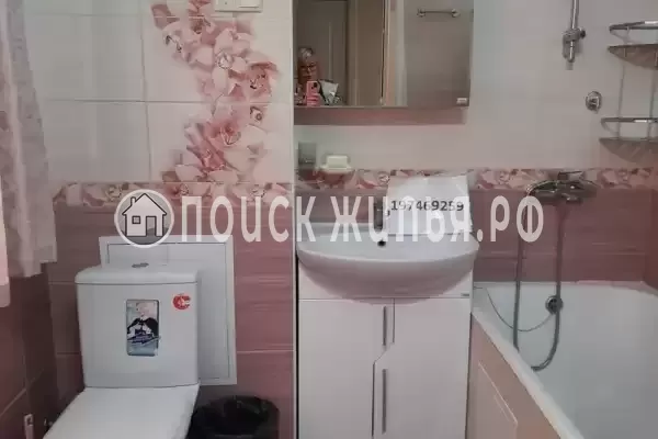 Квартира «Питон»