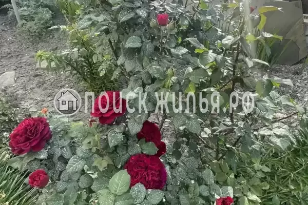 Дом под ключ «ShoTur»