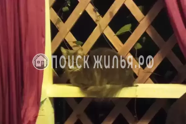 Частный сектор «У Лилии» Частный сектор «У Лилии»