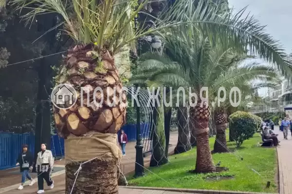 Частный сектор «У Лилии» Частный сектор «У Лилии»