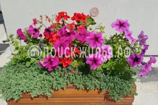 Дом под ключ «Коттедж под ключ»