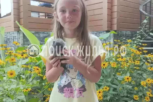 Дом под ключ «Коттедж под ключ»