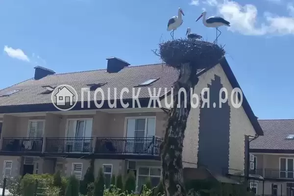 Частный сектор «Таунхаус на Пальмовой»