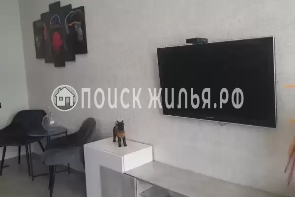 Квартира «MONKEY HOUSE»