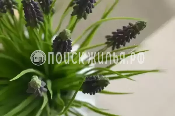 Квартира «У моря»