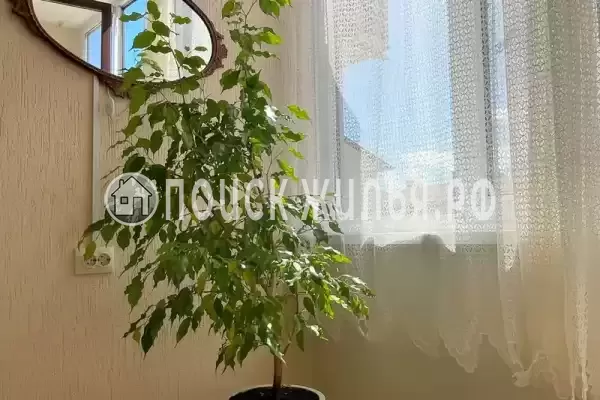 Квартира «У моря»