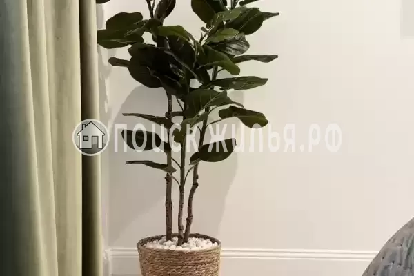 «У Степаныча»