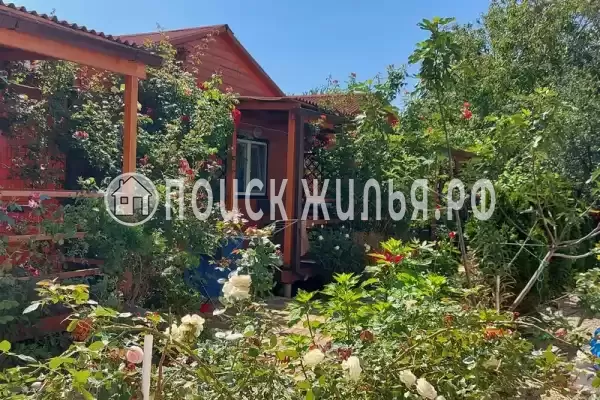 «Белые ночи» «Белые ночи»