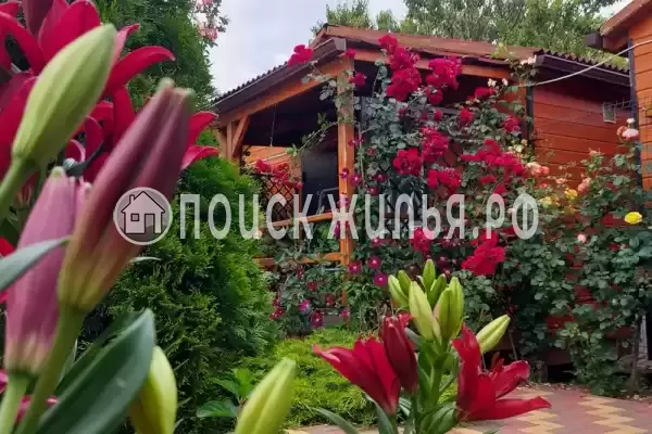 «Белые ночи» «Белые ночи»