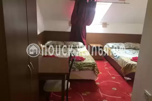 «Светлана» «Светлана»