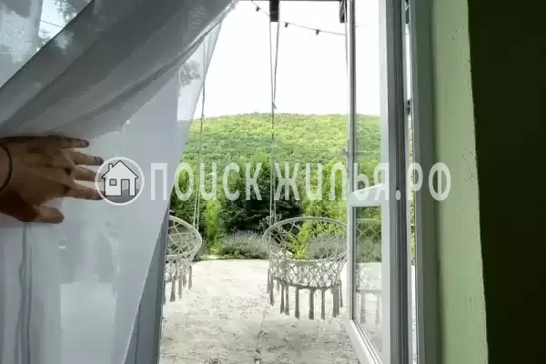 «Редкая птица» «Редкая птица»