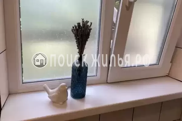 «Редкая птица» «Редкая птица»