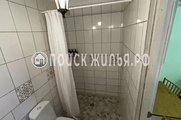 «Редкая птица» «Редкая птица»