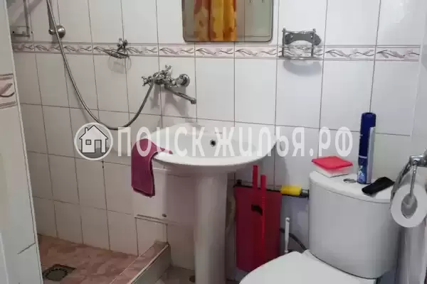 «Живой уголок»