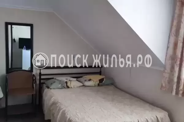 «Живой уголок»