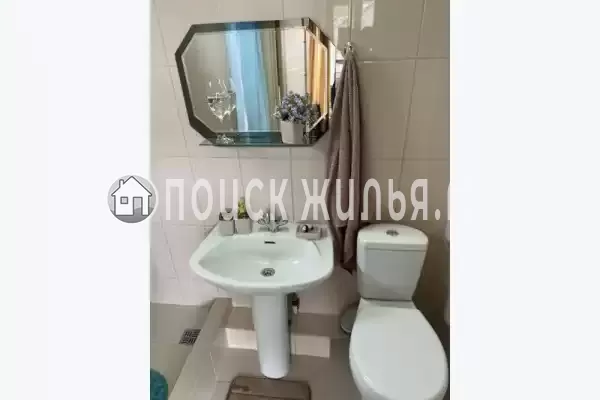 «Амина» «Амина»