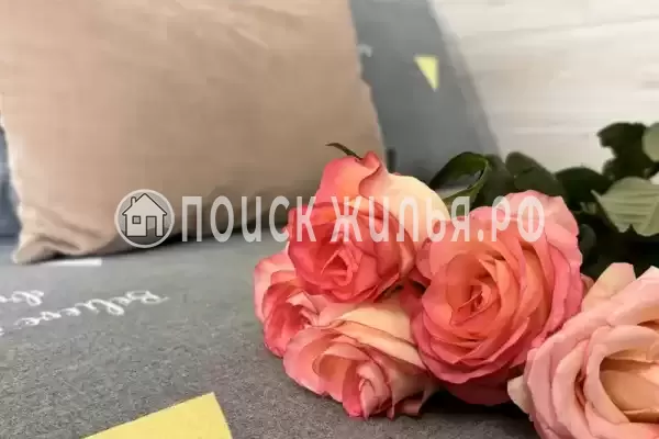 «Талисман Джемете» «Талисман Джемете»