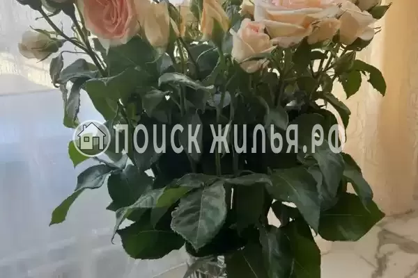 «Уютный гостевой дом на Лесной» «Уютный гостевой дом на Лесной»