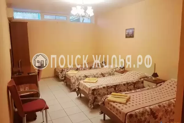 «Индиго» «Индиго»