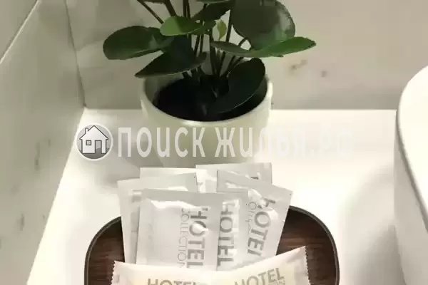 «Лайм» «Лайм»