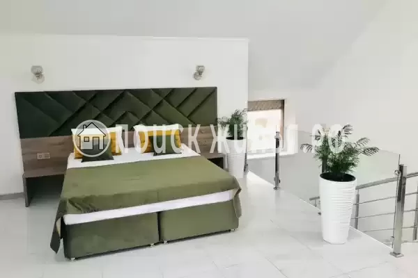 «Лайм» «Лайм»