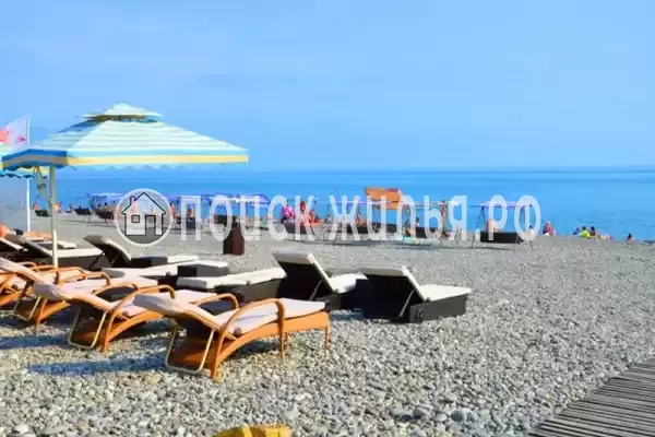 «Мадагаскар» «Мадагаскар»